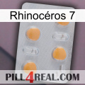 Rhinocéros 7 24